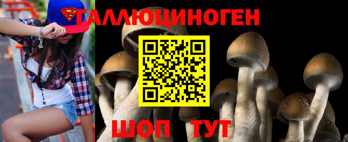 Каннабис  ГАШИШ  Нижний Новгород  MDMA  ГАШ  Метамфетамин  Вход с VPN  МЕФ кристаллы 